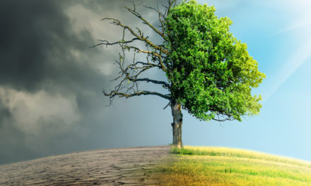 How Climate Change Will Impact Your Client’s Retirement
