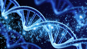 What's in Store for DNA?